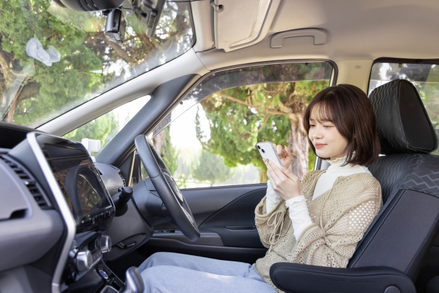 車移動を利用した郊外密会