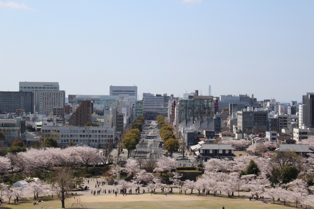 姫路の探偵ハートベル調査事務所